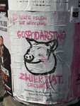 IMG 9613