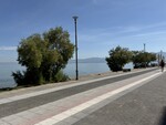 IMG 0078